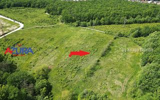 Vanzare teren Balotesti, la padure - Poză 5