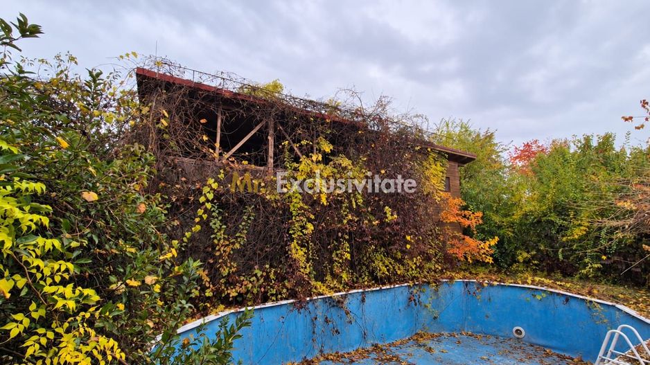 Un colț de verde, la doi pași de lac. - Poză 8
