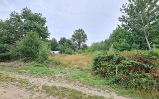 Teren intravilan de vânzare | 1.656 mp | 69.000 € | strada Murelor | Groși - Poză 2