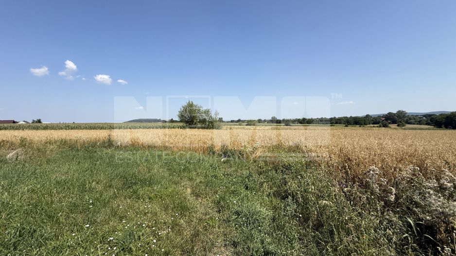 Teren intravilan de vânzare | Horodnic de Sus | 77 ari - Poză 5
