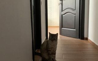 2 camere modern, centrală proprie, parcare, etaj 2, pet friendly - Poză 5