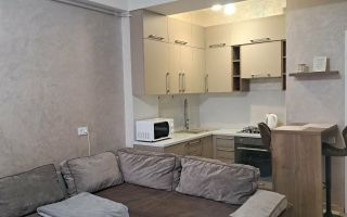 Apartament 1 dormitor + living | Centru | Lev Tolstoi 63/1 | Chirie - Poză 4
