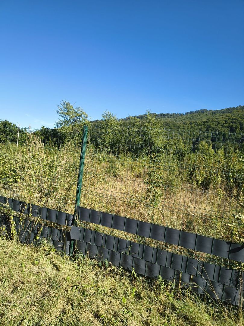Vand Teren intravilan - Poză 8