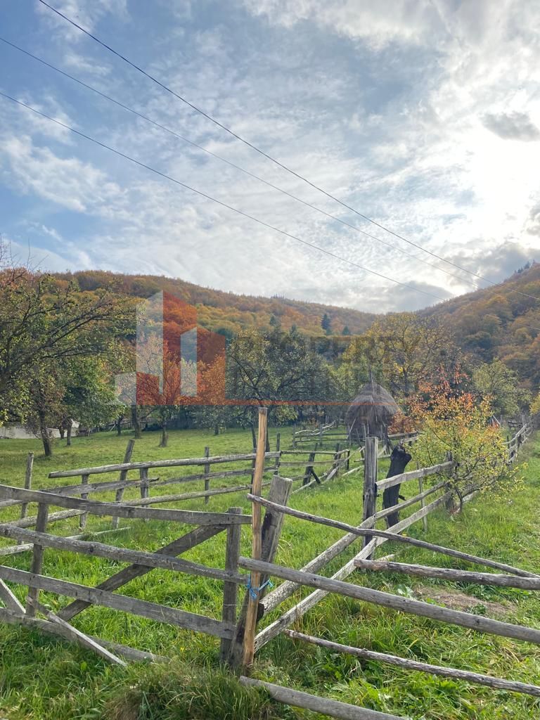 Casa + teren 1700 mp langa Padure Bran/ Predelut - Poză 14