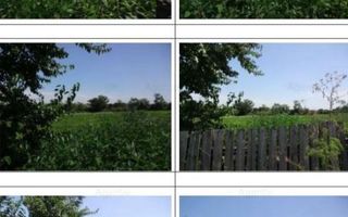 teren intravilan Belcesti judet Iasi - Poză 1