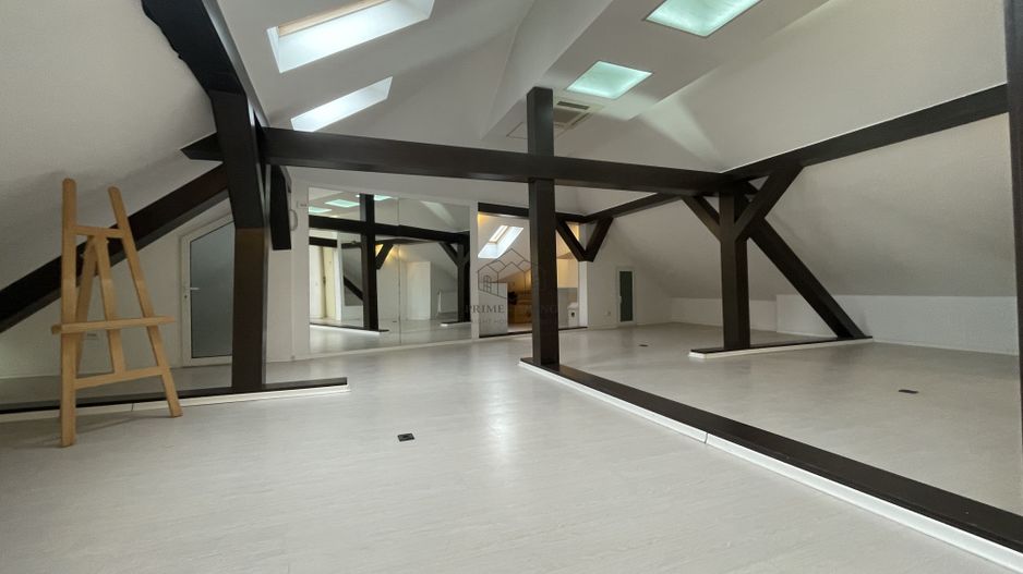 VILA SUPERBA LA INCHIRIERE PRETABILA CA SPATIU DE BIROU SAU REZIDENTA - Poză 40