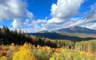 Aparthotel cu view superb Valea Prahovei - Poză 3