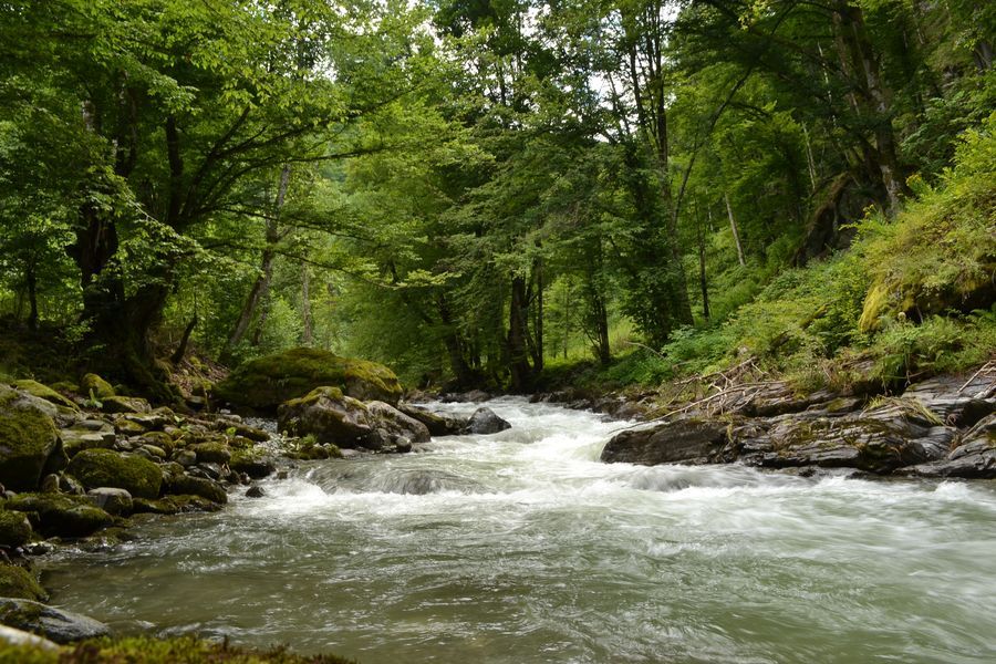Teren cu PUZ pentru Case de vacanta, loturi de  la 600 la 1000 mp - Poză 4