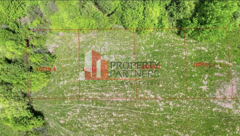 Teren intravilan 500 mp sau 1000 mp în Zarnesti –Tohanita incepand cu 17500 euro - Poză 2
