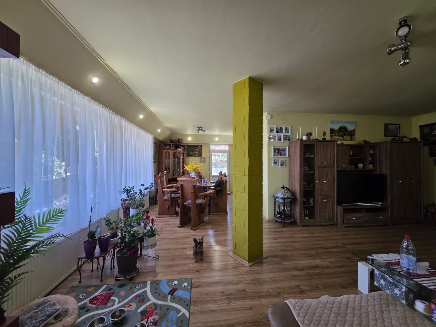 PROPRIETATE PREMIUM CU 4.534 MP TEREN- REGHIN STRADA POMETULUI - Poză 12