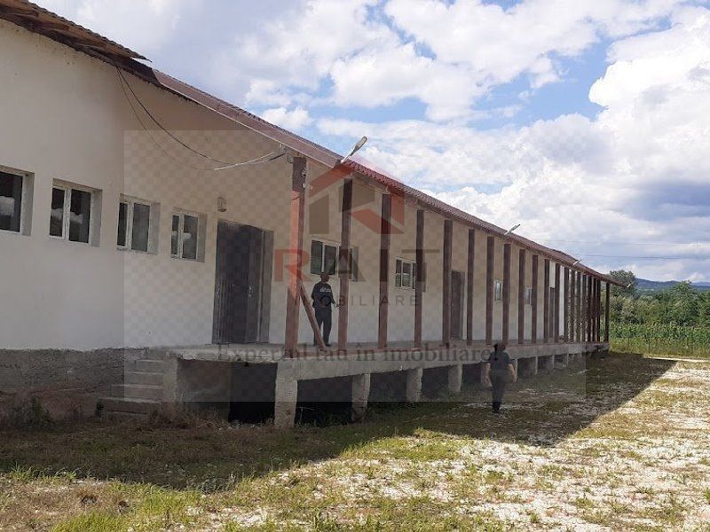 Hala de Inchiriat Godeni Arges - Poză 4