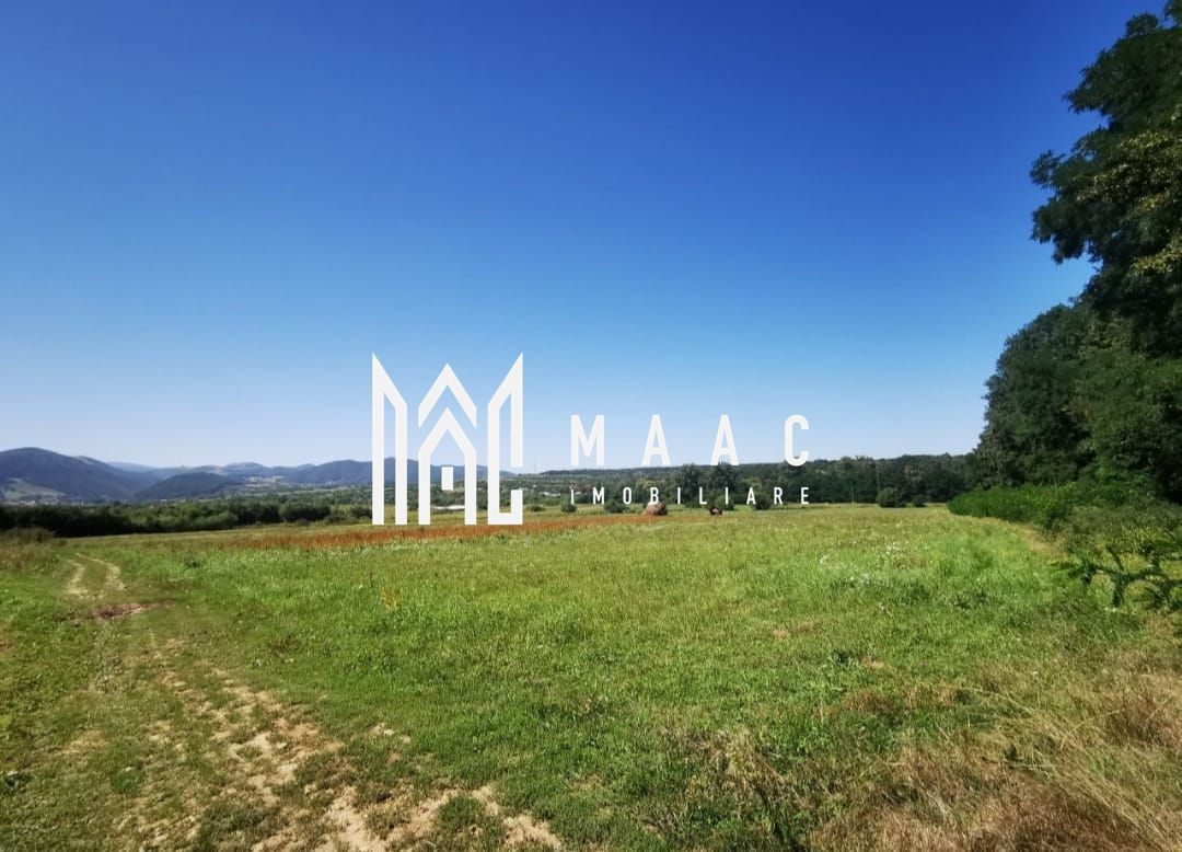 Teren extravilan I Parcelare I Rasinari - Poză 1