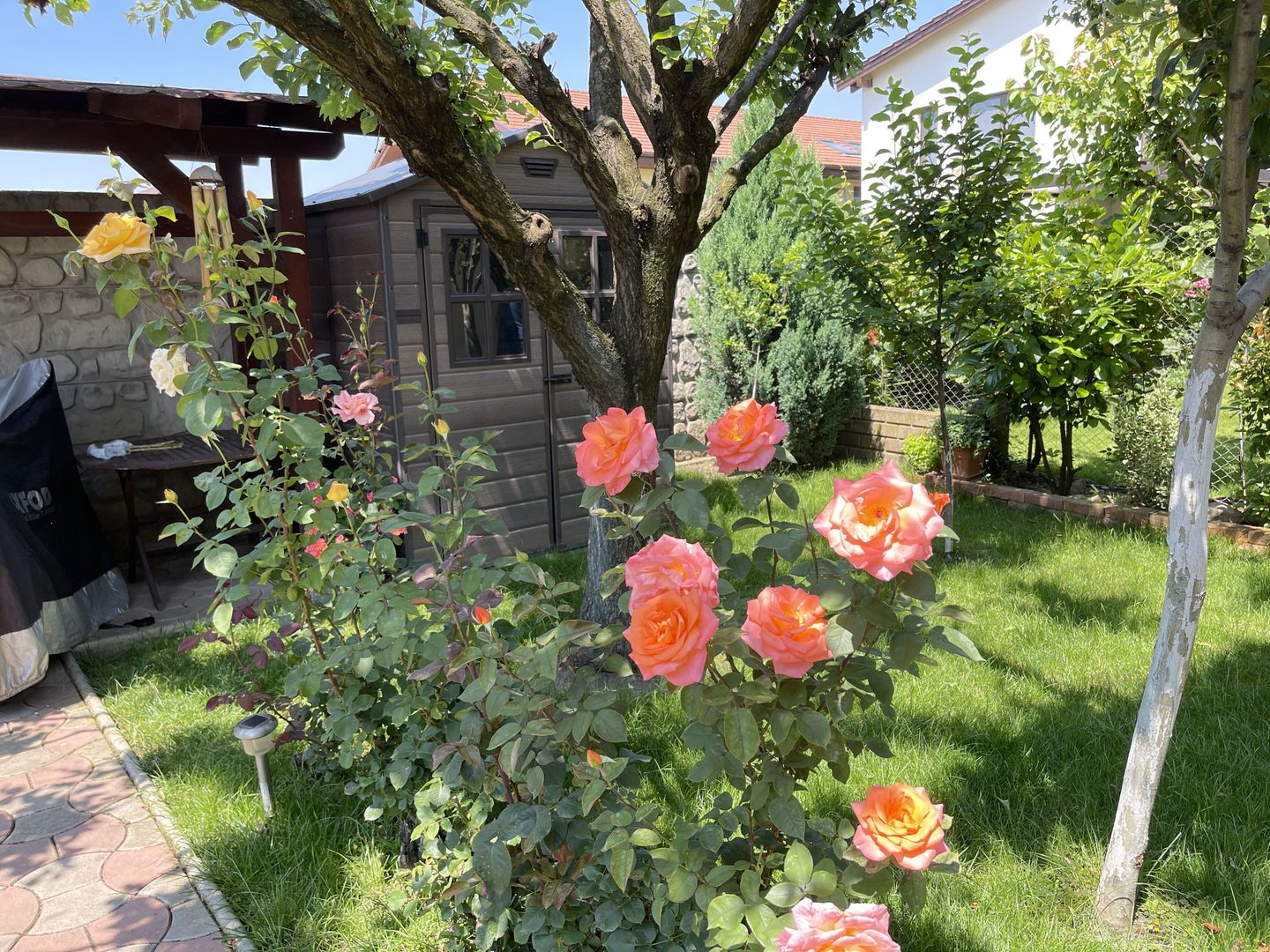 Casa P+1 in zona Blascovici - Poză 5