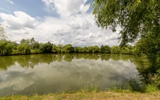 Afacere la cheie - domeniu cu lacuri de pescuit  - Sat Bunești, Com. Malureni - Poză 14