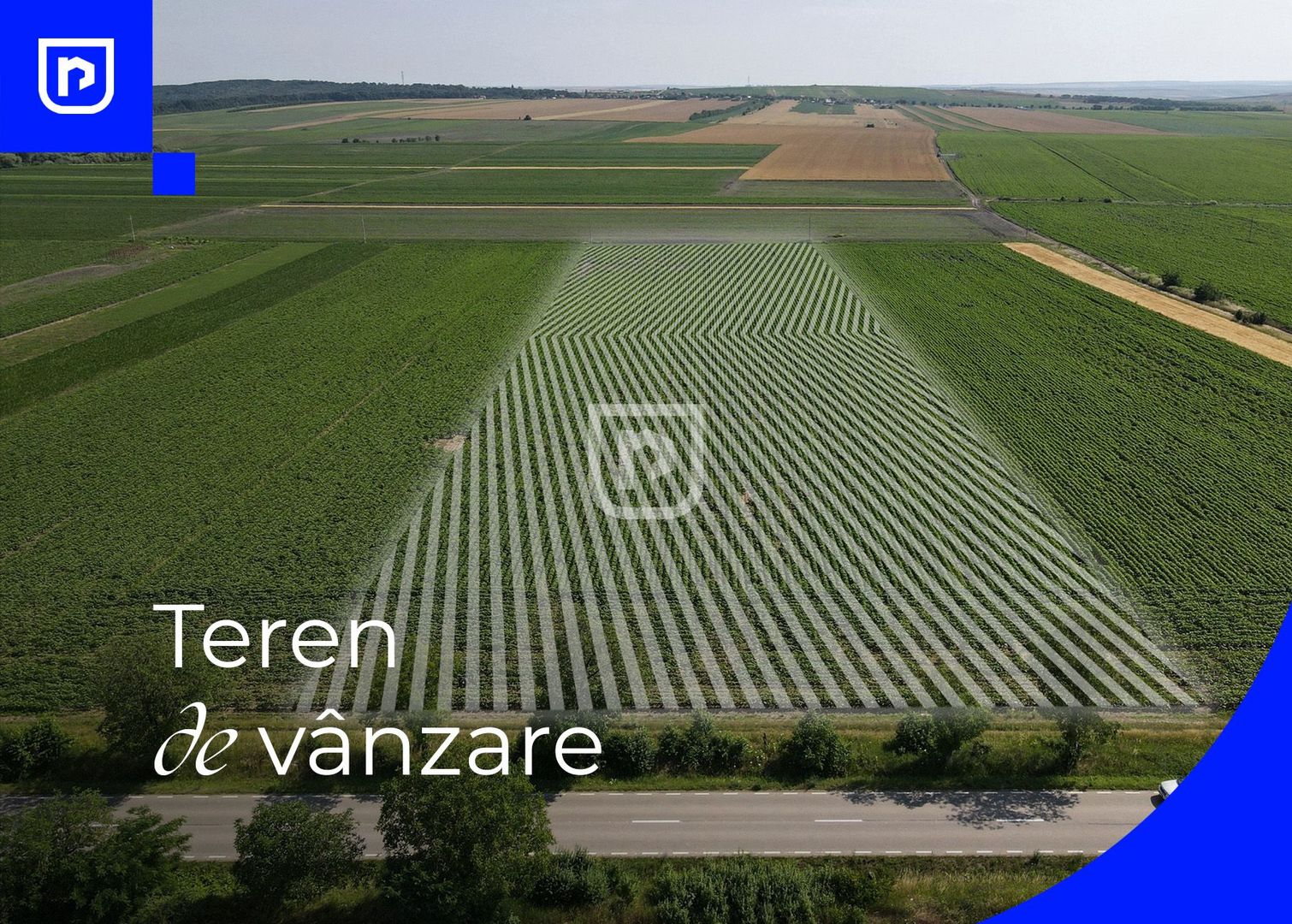 Teren - Orășeni Deal, Curtești | BOTOȘANI | 10.000mp - Poză 1