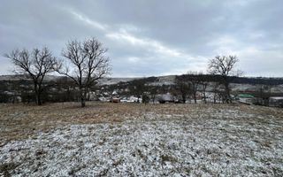 Casa individuala cu teren generos – 8.356 mp – Tichindeal, jud. Sibiu - Poză 9