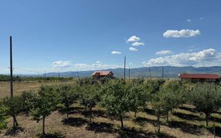 Cabana de lemn, 2 camere, teren 850 mp, livada, Oarda, Alba Iulia - Poză 3