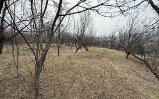 Teren 4652 mp cu izvor pe el, Lunca Mare, lângă păstrăvăria Doftana - Poză 18