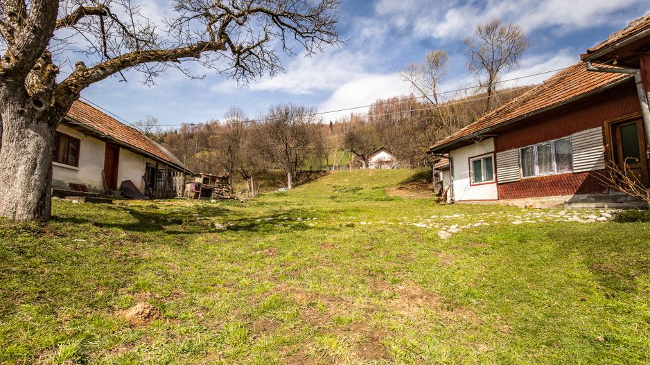 Domeniu de 6.500 mp teren+casa parinteasca,in magia Bucegilor,Moieciu, Brasov. - Poză 4