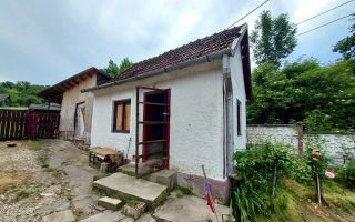 Casa renovata cu teren 7000mp la 19 km de Deva – Sat Nojag, Hunedoara - Poză 7