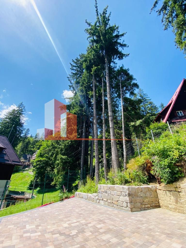 Vila Sinaia - Poză 40