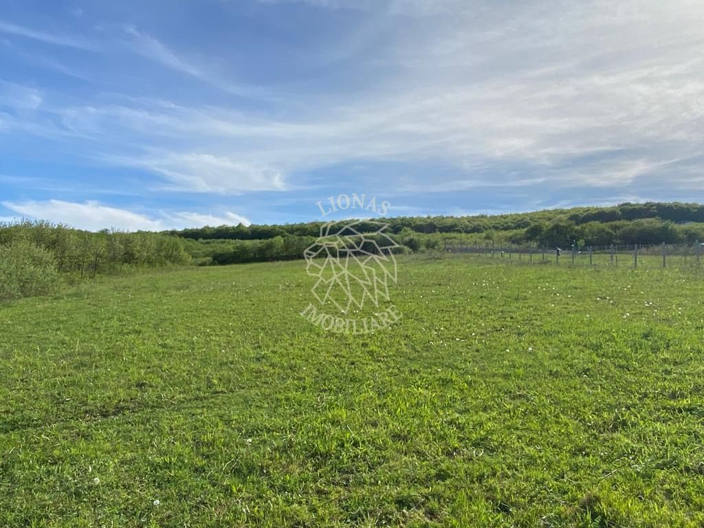 Teren 2160 mp - pretabil pentru cabana - investitie - Jelna - Poză 1