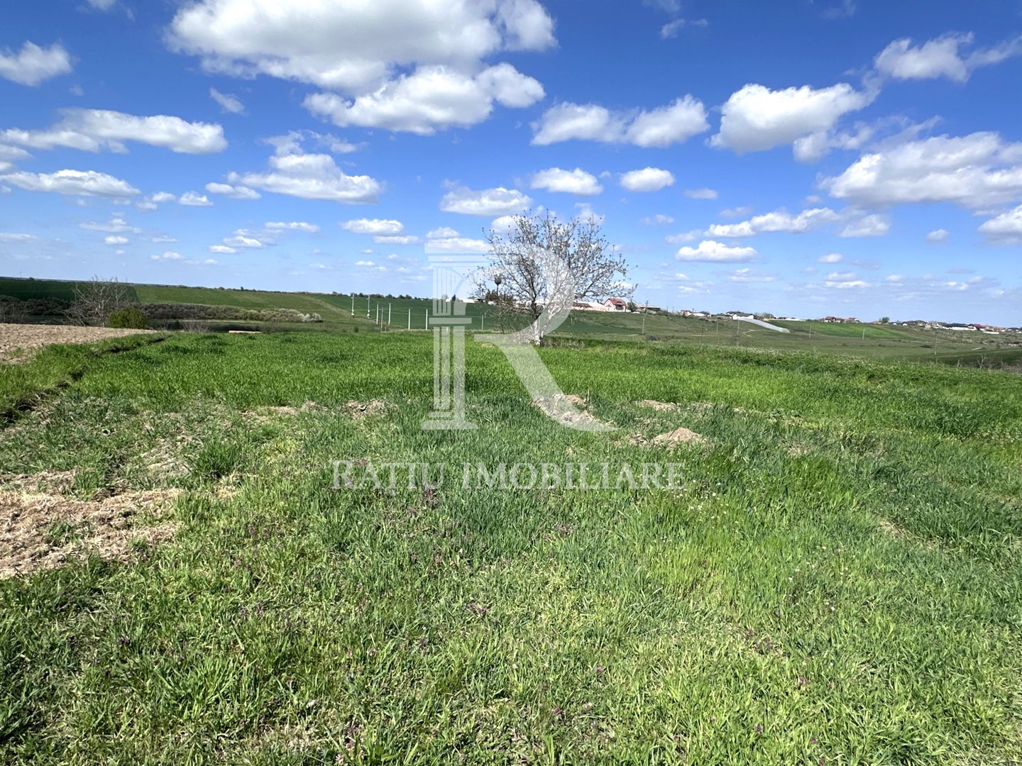 Teren intravilan | Leș | Bihor - Poză 2