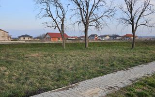 Teren 21600 mp in apropiere de Autostrada Transulvania - Poză 3