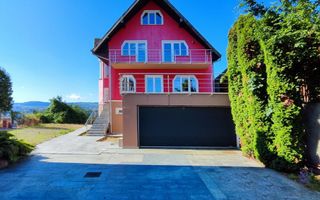 Vila panoramica Gruia - Poză 3