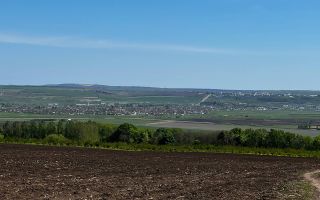 Vânzare, teren agricol, 90 ha, Orhei, satul Seliște - Poză 6