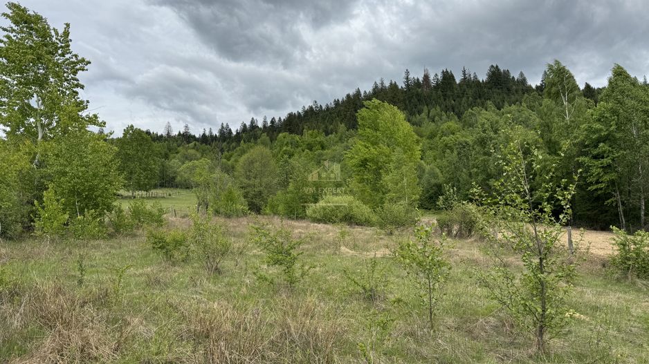 TEREN INTRAVILAN 6680 MP LERESTI ARGES - Poză 9