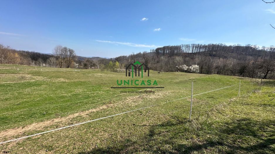 Teren Govora / 8131mp - Poză 6