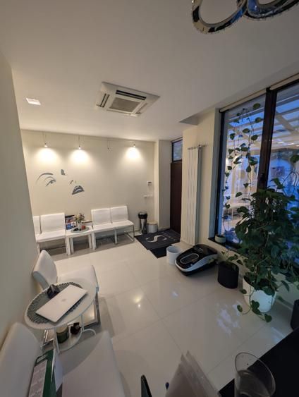 De inchiriat vila, compartimentare flexibila, Cotroceni-Panduri - Poză 5