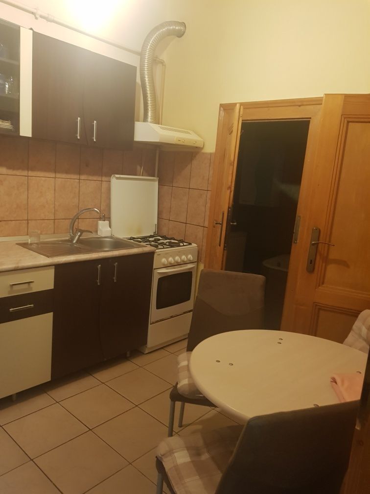 Apartament 1 camera Iosefin la curte - Poză 3