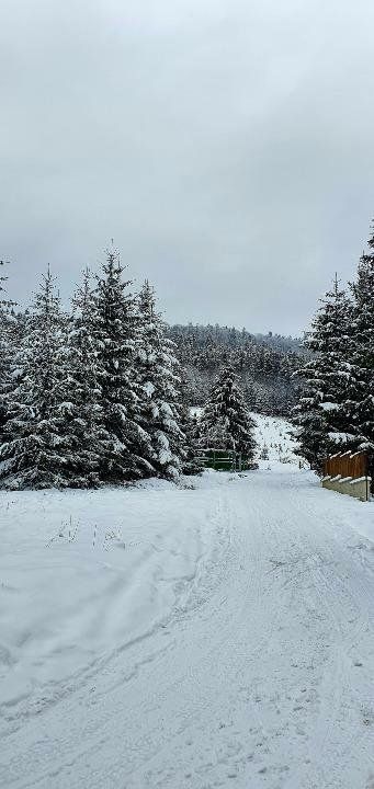 Cabană de vânzare-complet utilată, ideală pentru regim hotelier. - Poză 24