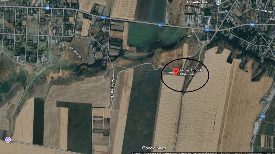 De vanzare ferma de gaini ouatoare in sistem free-range | 45.000 mp teren - Poză 8