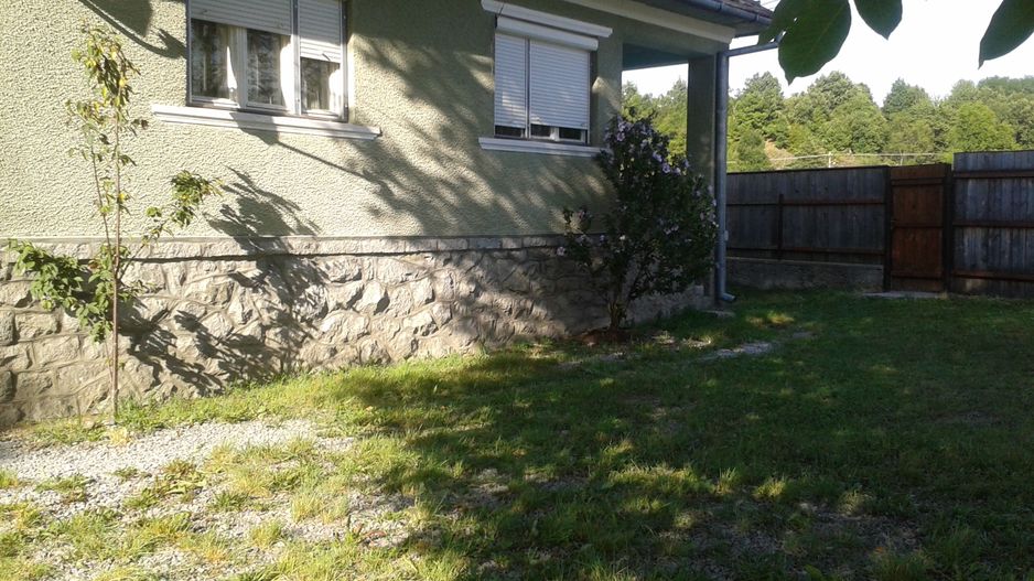 Casa de vanzare Valea Draganului - Poză 1