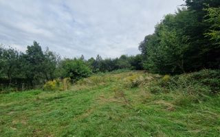 Teren Intravilan de vanzare Bistrita | 795 mp, priveliște panoramică - Poză 3