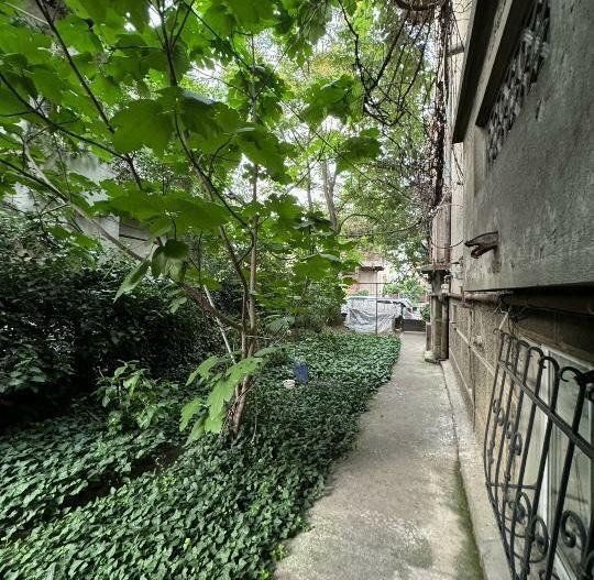 GARSONIERA DOMENII | EXPOZITIEI | CETRALA PROPRIE - Poză 8