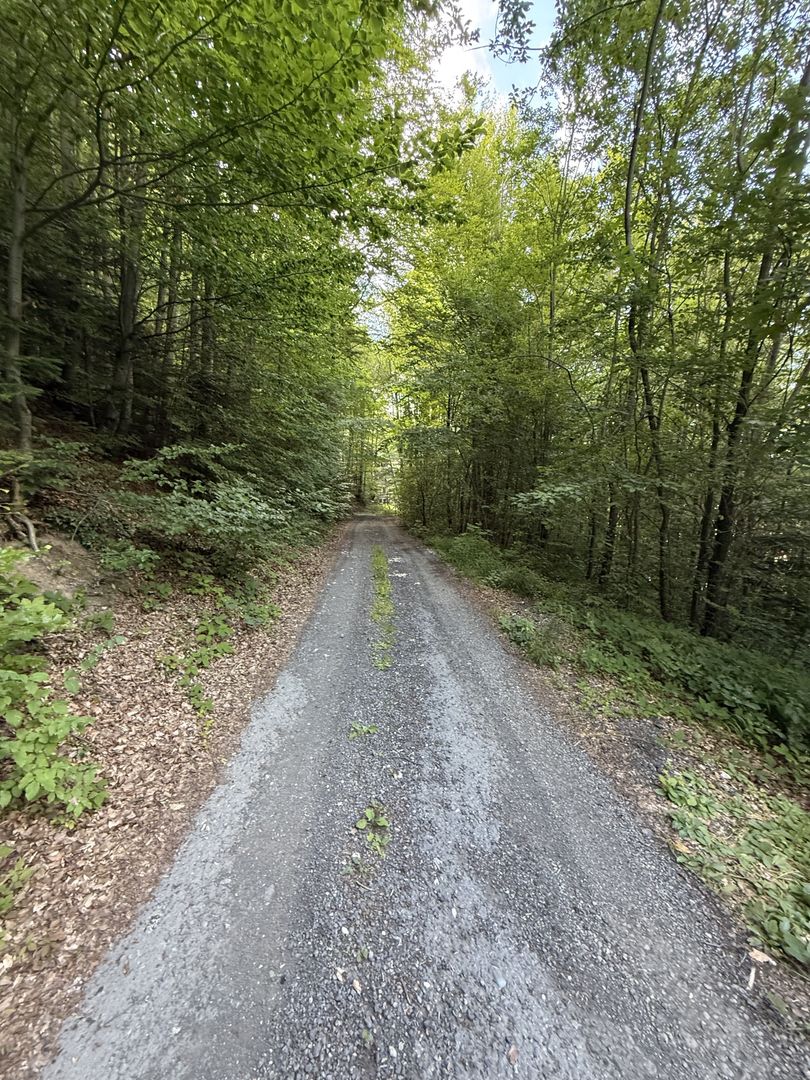 Teren 338mp, cu proiect bloc garsoniere D+P+E+M - Sinaia - Poză 8