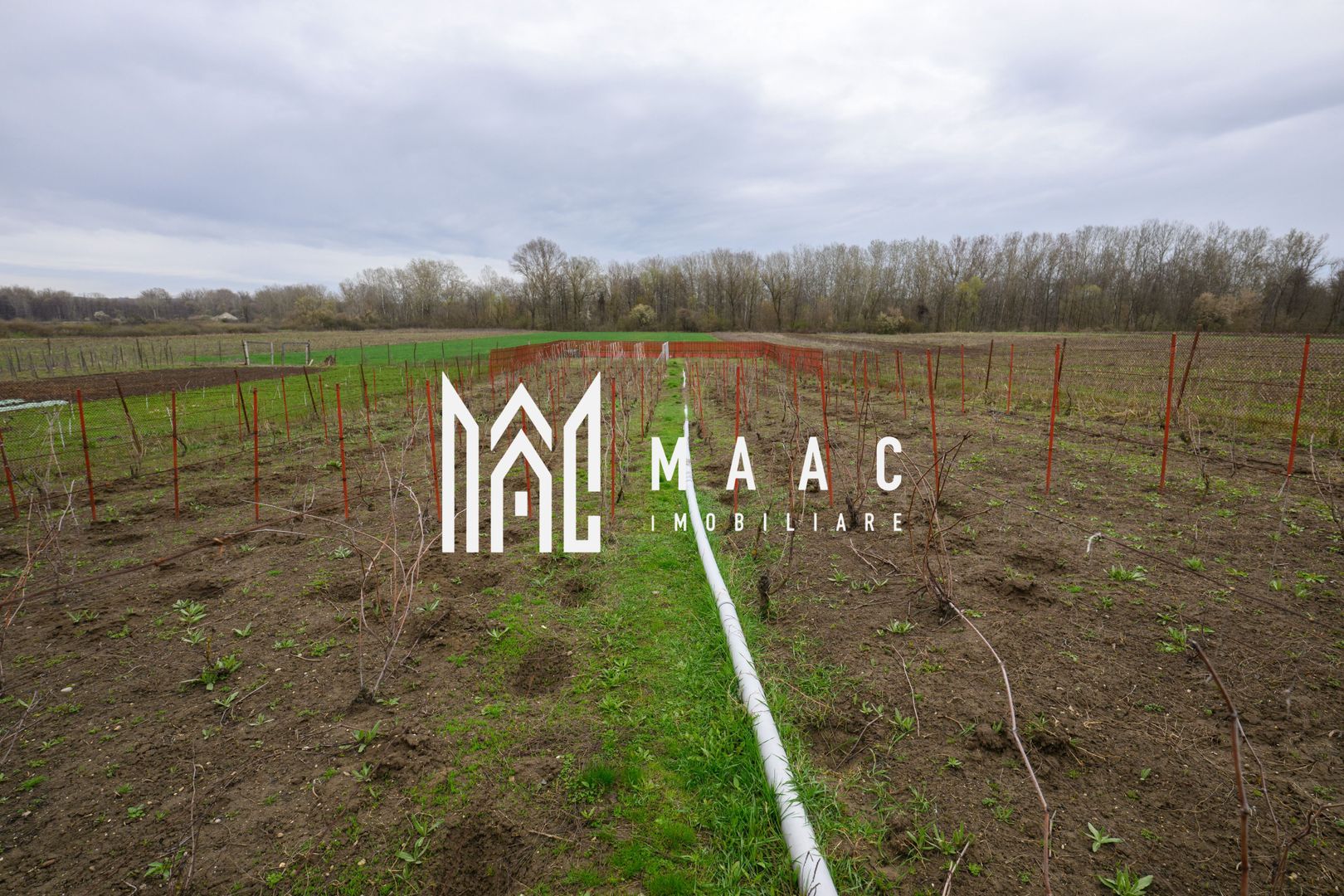 CASA DE VANZARE|  2087 MP TEREN| COMUNA FARTATESTI| - Poză 12