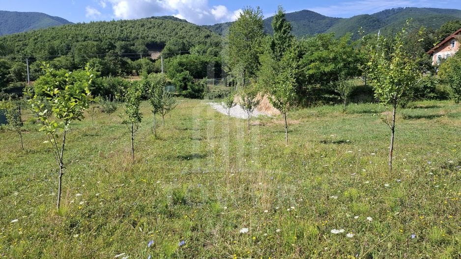 Teren în Tocile cu priveliște către munte - Poză 3