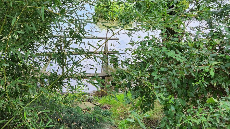 Casa P+M cu teren generos-Remetea - Poză 12