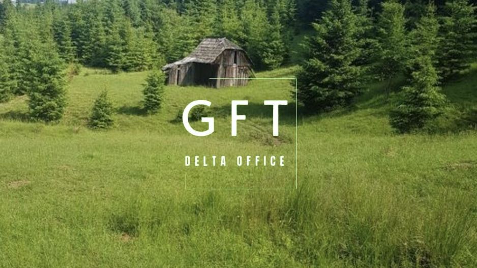 TEREN+PADURE, PASUL TIHUTA - Poză 5