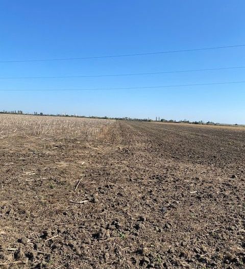 Teren agricol în Zona Sagului - Poză 7