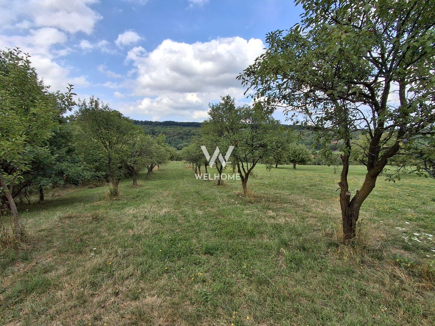 De vânzare teren extravilan în Sibiel, jud. Sibiu – 3223 mp - Poză 4