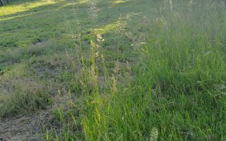 Teren intravilan-40 ari, parcelabil, loc. Slatinita - Poză 5