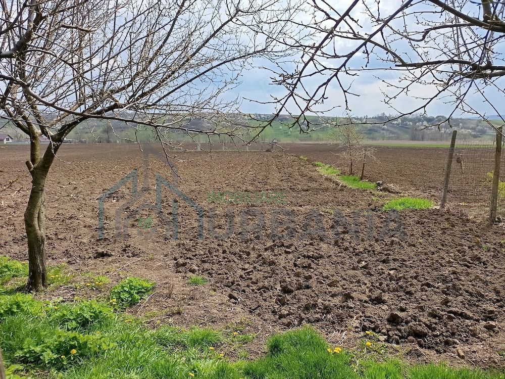 Casă tradițională cu teren generos în Oțeleni, județul Iași - Poză 3