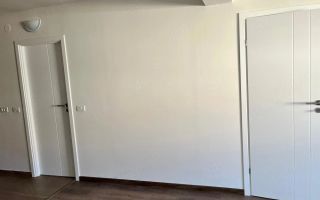 Apartament cu 1 camera zona Elisabetin - Poză 6