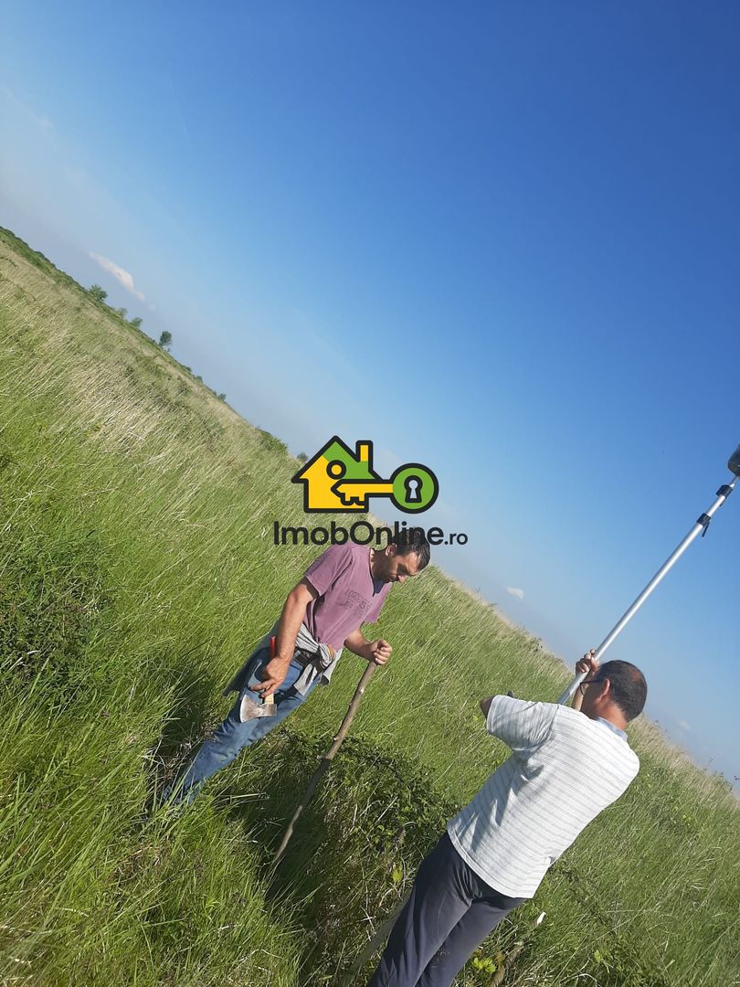 Teren de vânzare în Lugoj, judet Timis - Poză 2